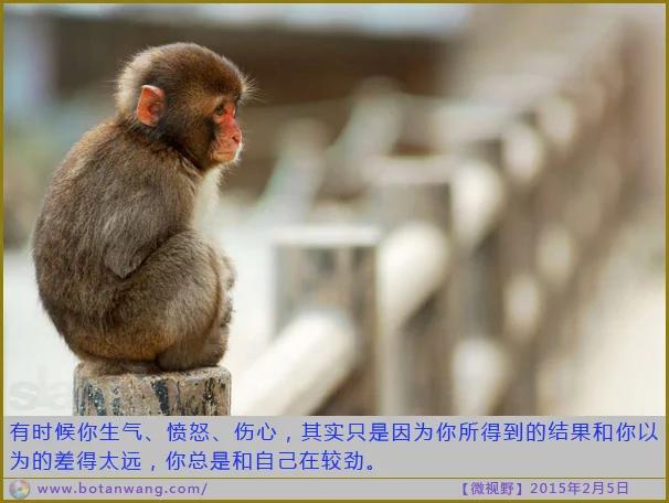 人生八学,试试看,命运将会大改变