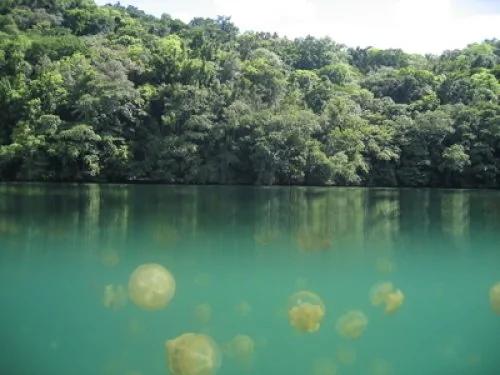 地球上最奇异的8个湖泊