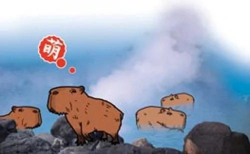 萌翻,天然呆水豚君 露天泡“柚子汤”