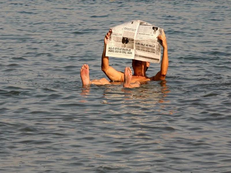 死海湖底发现神秘未知物种