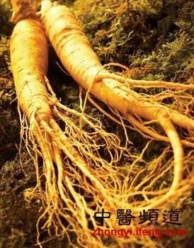 10大抗衰老中药 简单方便效果好!