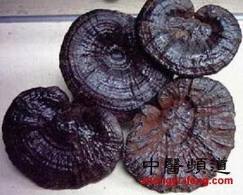 10大抗衰老中药 简单方便效果好!