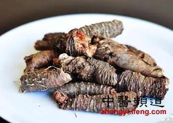 10大抗衰老中药 简单方便效果好!