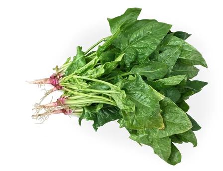 这6种“垃圾”食物 竟可抗癌防病
