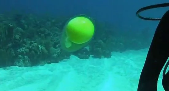 在20米深的海里面打开一个鸡蛋会发生何种奇迹？