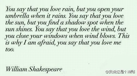 You say that you love rain的各種神翻譯