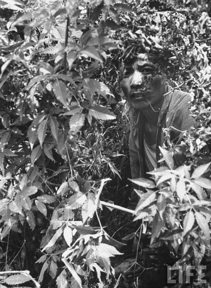 三年大饥荒 1962年大逃港