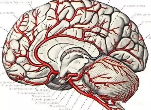世上最简单的防中风、防痴呆、降血糖的动作竟然是…
