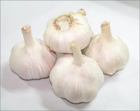 身体年轻的秘密!13种〝换血〞食物你不妨一试