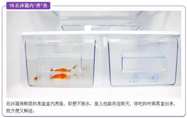 冰箱居然有这些“特异功能”