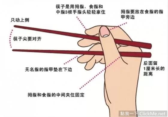告訴你筷子的最正確用法,有80%的人都搞錯方式了!
