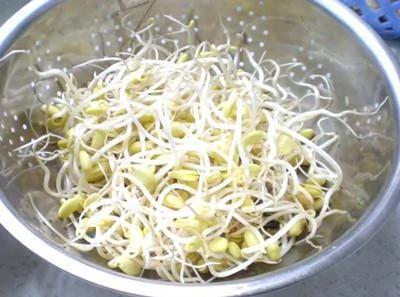 自己在家发豆芽 又长又嫩又新鲜