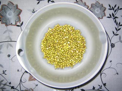 自己在家发豆芽 又长又嫩又新鲜