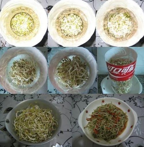 自己在家发豆芽 又长又嫩又新鲜
