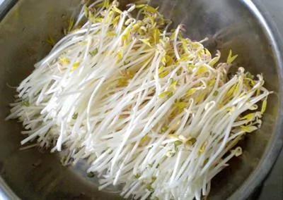 自己在家发豆芽 又长又嫩又新鲜