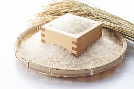 米有虫!长虫的大米了还能吃吗?