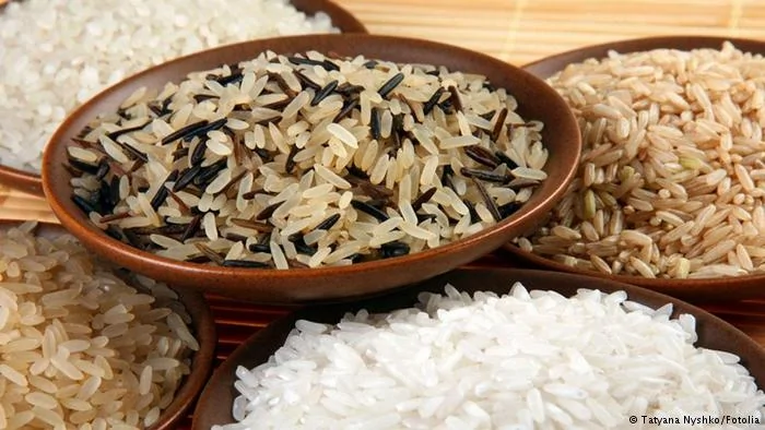 Symbolbild Reis Teller