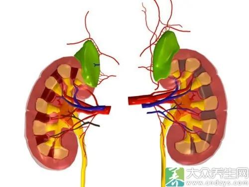 不熬夜也有黑眼圈是什么病?