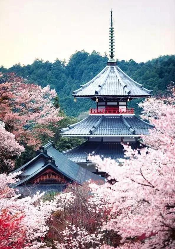 美得让人窒息 有生之年必去十大日本绝景