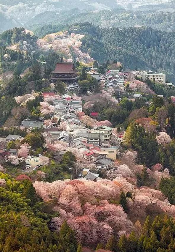 美得让人窒息 有生之年必去十大日本绝景