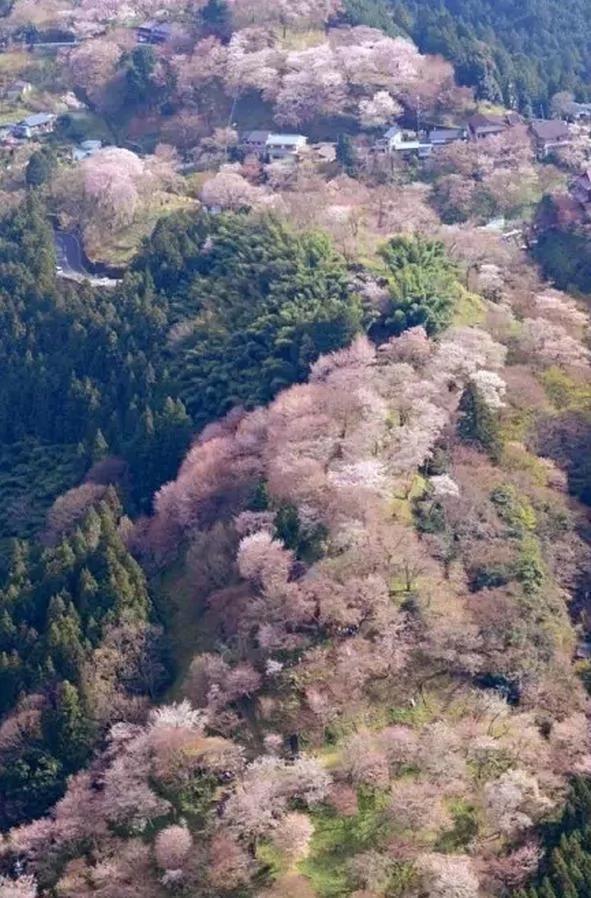 美得让人窒息 有生之年必去十大日本绝景