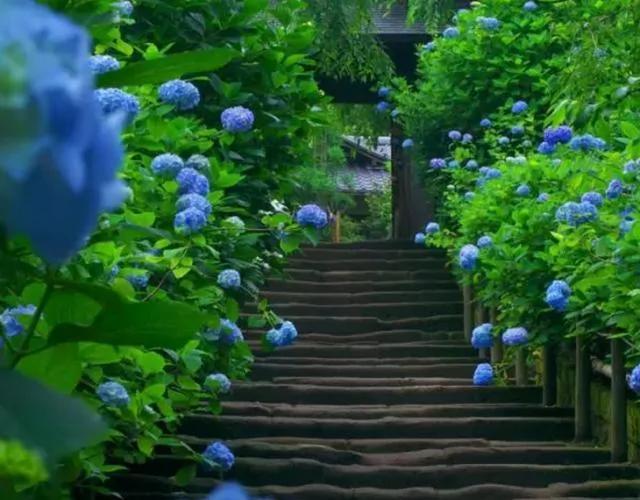 美得让人窒息 有生之年必去十大日本绝景