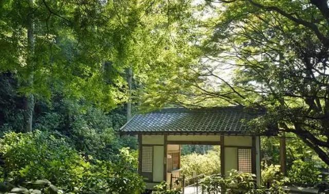 美得让人窒息 有生之年必去十大日本绝景