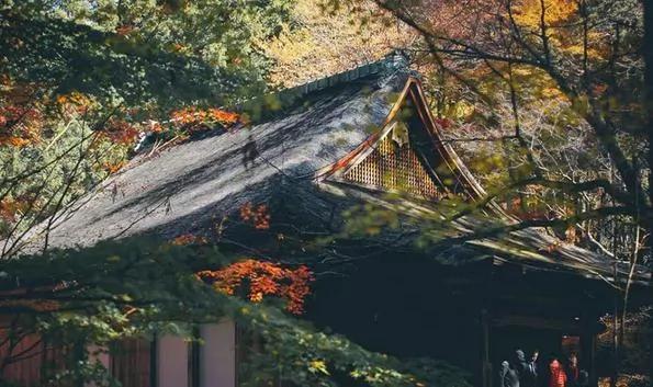 美得让人窒息 有生之年必去十大日本绝景