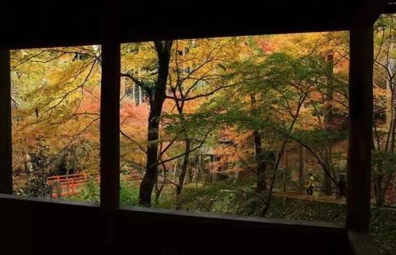 美得让人窒息 有生之年必去十大日本绝景
