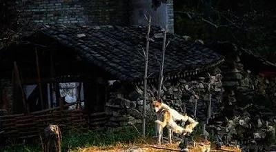 唐山大地震前的预兆 你信老天还是中共?