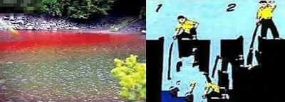 唐山大地震前的预兆 你信老天还是中共?