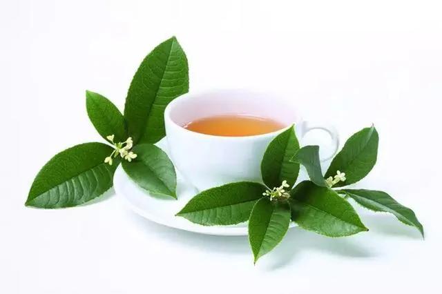 春天吃了这五味 比吃补药还好
