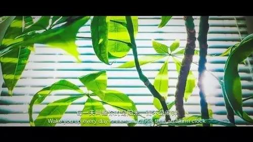 我们帮你规划了最健康的生活,这才是你需要的“足记”