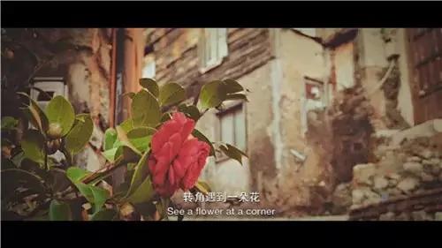 我们帮你规划了最健康的生活,这才是你需要的“足记”