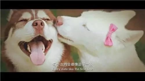 我们帮你规划了最健康的生活,这才是你需要的“足记”