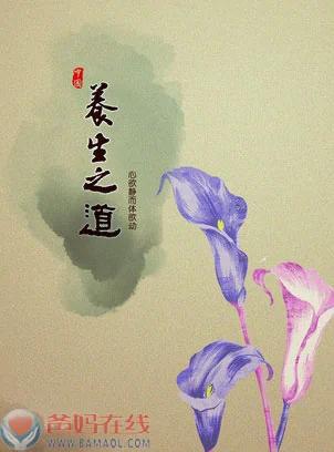 真正的养生之道是什么