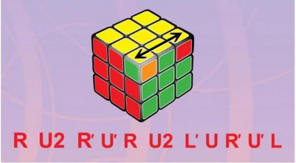 只要7步,任何魔方6面都能还原!再笨都学的会~留着教孩子吧!