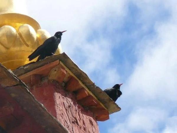 中国大陆9个最怪异的地方