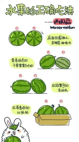 萌版漫画讲解各种水果正确吃法!