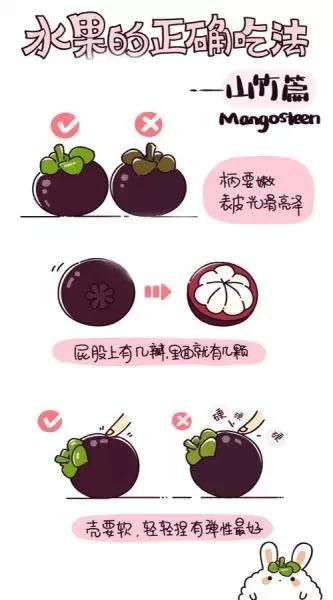 萌版漫画讲解各种水果正确吃法!
