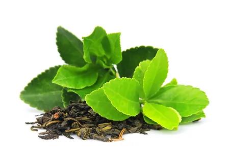 原来茶水煮饭有这么多防病功效