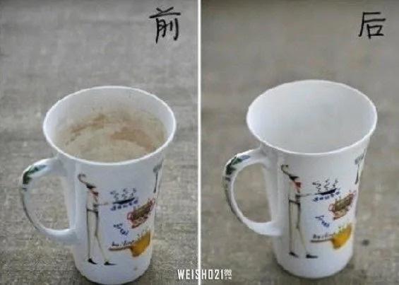 這麼多好用的居家小知識,現在知道真的不算晚!