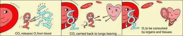 怎样呼吸 就有什么样的睡眠