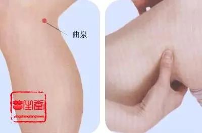 揉这穴位相当吃六味地黄丸 还毫无禁忌