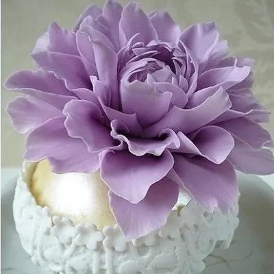 这些食物在破坏你肠道! 5个好习惯还你好肠胃