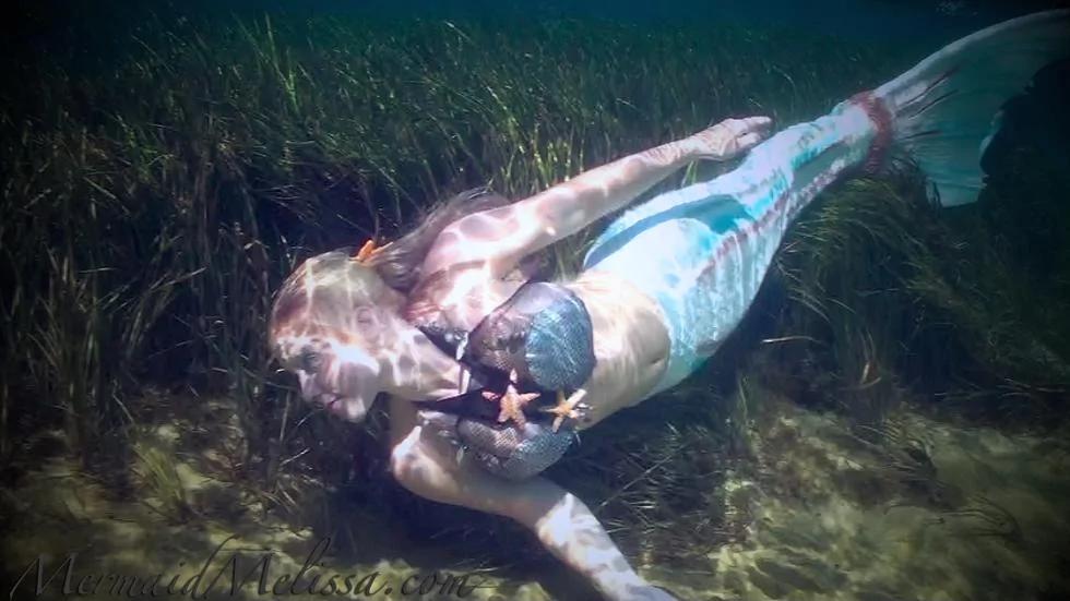 職業美人魚水下展嫵媚身姿 魚尾重54斤