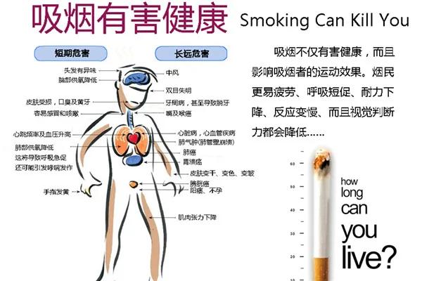 吸烟对健康的危害极大 (图)