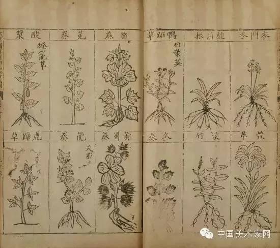 《本草纲目》·格物通典的诞生记