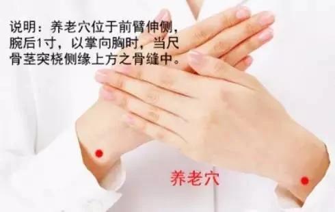 这个养老穴专治老年症 帮爸妈收着