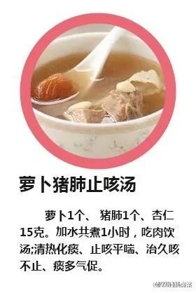 超有用的八个止咳的食疗方子